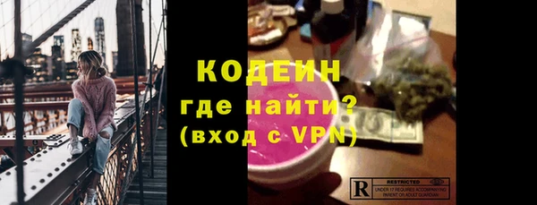 сатива Сатка
