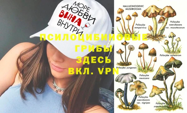 MESCALINE Белокуриха