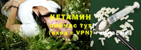 сатива Сатка