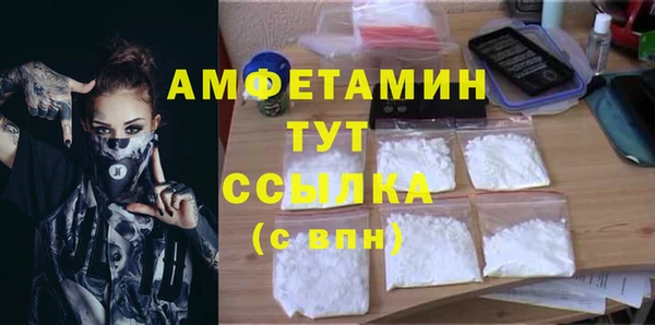 сатива Баксан